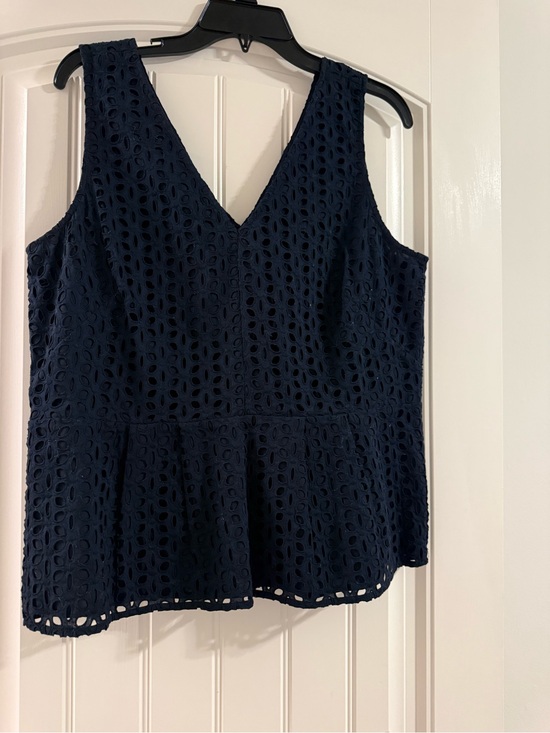 Ann Taylor Tops - Ann Taylor Navy Eyelet V-Neck Peplum top
